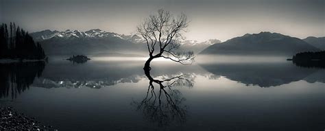 Hd Wallpaper Silhouette Of Bare Tree On Body Of Water Near Mountain At