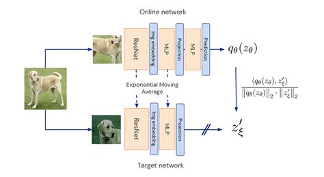 Paper Explained — Barlow Twins Self Supervised Learning Via Redundancy