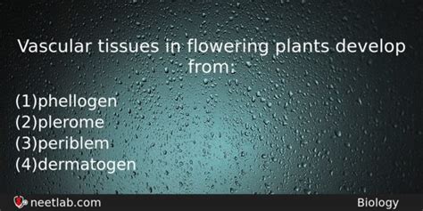Vascular Tissues In Flowering Plants Develop From Neetlab