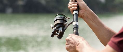 Seguros De Pesca Compara Y Ahorra Con Terránea