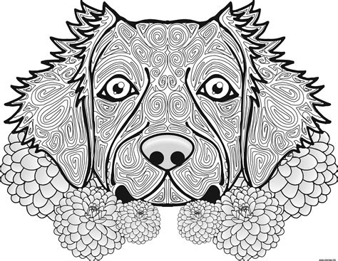 Coloriage Adulte Chien Dog Animal