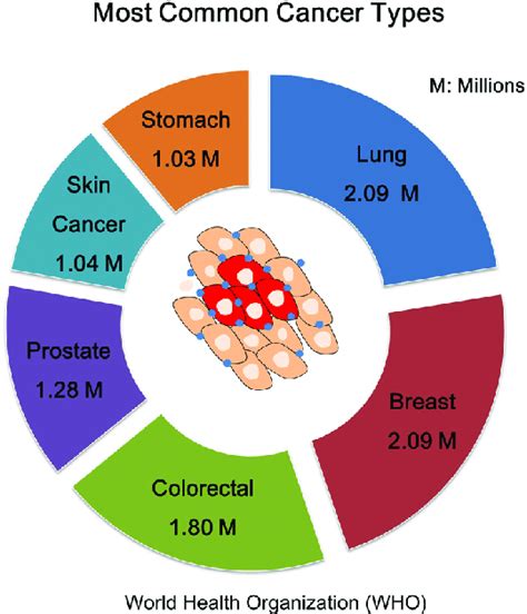 Cancer Types And Number Of Patients Cancer A Leading Cause Of Death