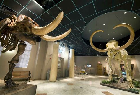 Maybe you would like to learn more about one of these? Arizona Museum of Natural History | Arizona museum, Mesa ...
