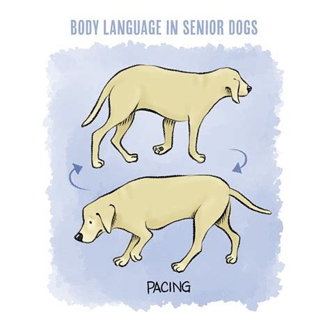 Dog Body Language Chart Printable