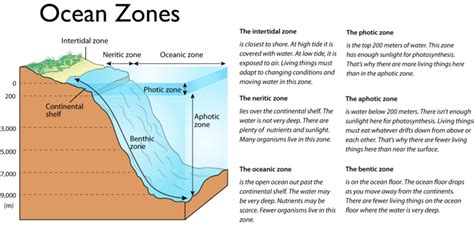 Ocean Zones Ck 12 Foundation
