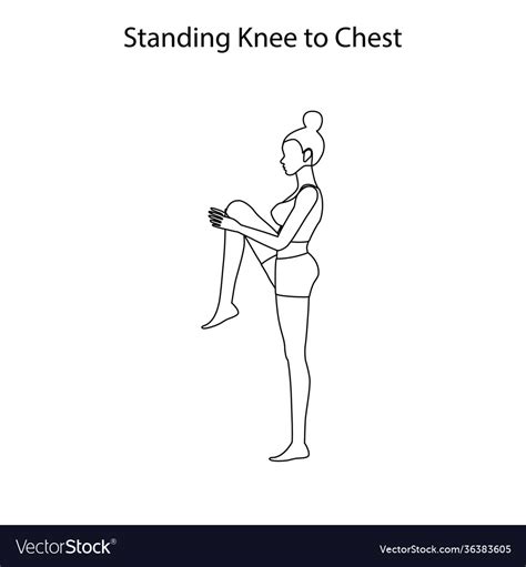 Standing Knee To Chest Pose Yoga Workout Outline Vector Image