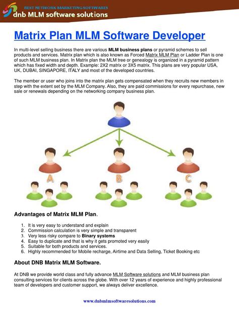 Dmlm0010 Matrix Plan Mlm Software Developer 2016 03 16 Software