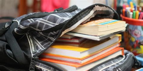 8 Tips To Avoid Back To School Pest Problems