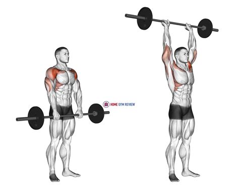 Barbell Standing Front Raise Over Head Home Gym Review