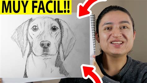 Como Dibujar Un Perro Paso A Paso Realista How To Draw A Realistic
