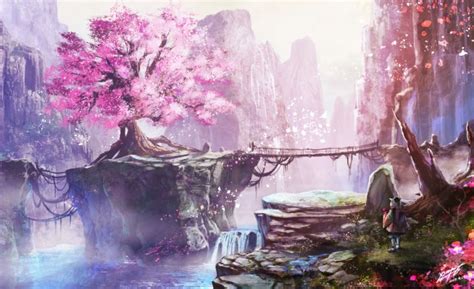 Anime Tree And White Image Snow Cherry Blossom Tree 1440x900