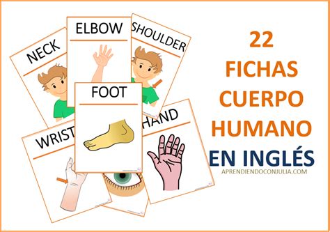 Cuerpo Humano En Inglés Fichas Y Tarjetas Para Imprimir Aprendiendo