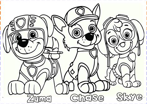 Paw Patrol Coloring Pages Free Kids Coloring Pagefree Kids Coloring Page