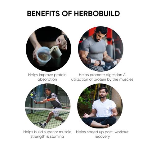 Herbobuild Buy Ayurvedic Supplement For Muscle Gain Best Mass Gainer