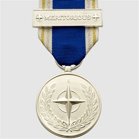 Golden Frames Defense Meritorious Service Medal Antarctica Service