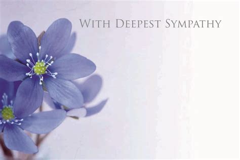 Isabella J Meyer Sympathy Card And Flowers Uk Sympathy And Funeral