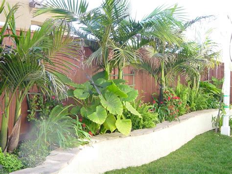 Pin By Elle Bee On Backyards Outdoor Spaces Tropical Backyard