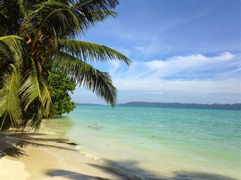 Best Things To Do In Havelock Islands One Day Itinerary So Andaman