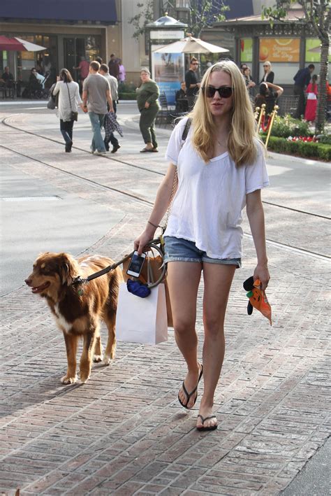 Amanda Seyfried Walking Her The Dog In Los Angeles Hawtcelebs