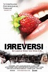 Irreversi : Extra Large Movie Poster Image - IMP Awards