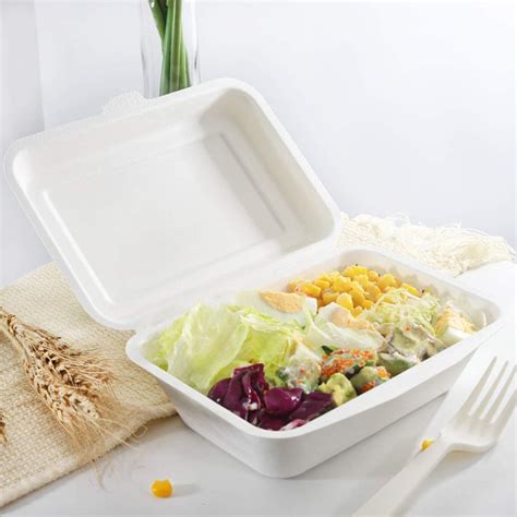 Compostable Microwavable Takeaway Tableware Sugarcane Meal Box Hinged