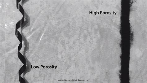 Hair Porosity Lco Vs Loc Method For Lasting Layered Moisture