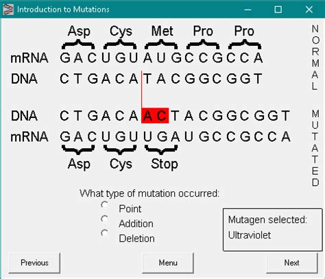 Dna mutations worksheet answer key. DNA - The Master Molecule (computer simulation) key