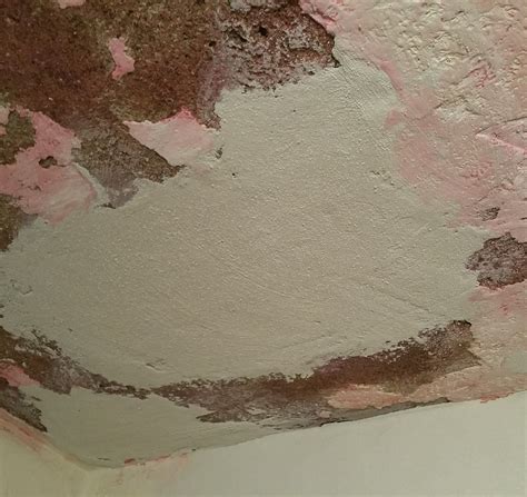 Stippled ceilings are achieved by painting your ceiling with. Stippled Texture Repair - Plastering by Nicholas