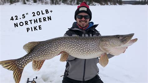 Giant Pike Through The Ice Ice Fishing Northern Ontario Youtube