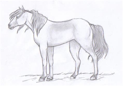 Horse Sketch By Gabiealvadiaz On Deviantart
