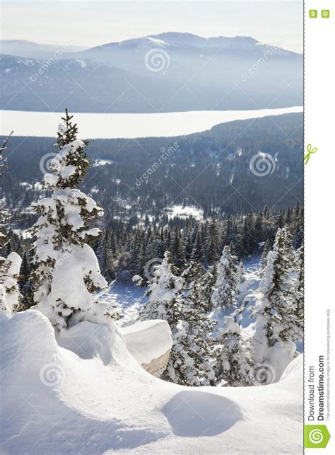 Mountain Range Zyuratkul Winter Landscape Snow Covered Spruces Stock