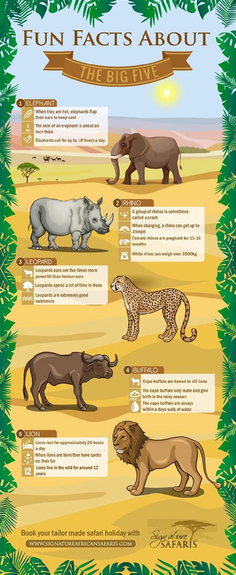 Kids can discover the animal kingdom like never before in lonely planet kids' the. FUN FACTS ABOUT THE BIG FIVE | Animal facts for kids ...