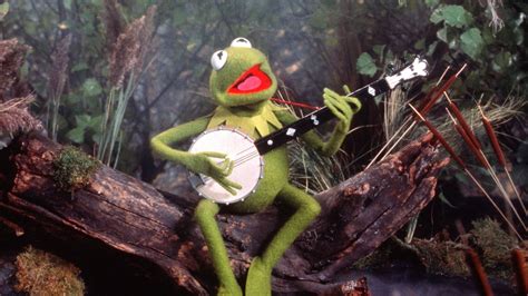 A Frog A Banjo And An Indelible Message Making The Rainbow