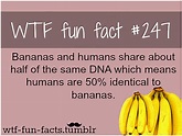 weird facts 20 free Cliparts | Download images on Clipground 2022