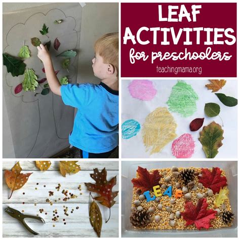 Leaf Activities For Preschoolers Alphabet Activities Preschool