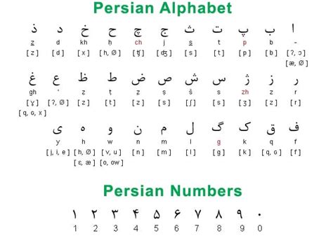 Persian Alphabet Chart Oppidan Library