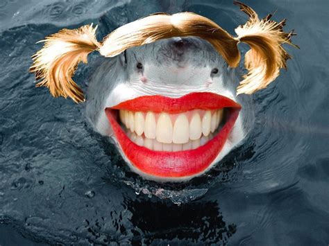 Create Meme Shark Shark With Human Teeth Shark Jaws Pictures