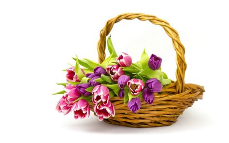 803182 4k Tulips Pink Color Wicker Basket Rare Gallery Hd Wallpapers