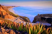 Encinitas California Photograph by Doug Berry - Pixels