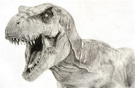 Jurassic Park Realistic Velociraptor Drawing