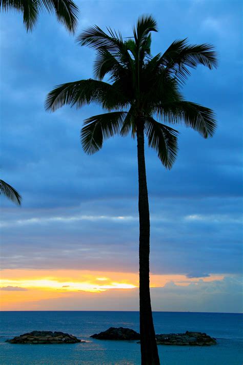 Beach Sunset Oahu Hawaii Sunsets Hawaii Hawaii Painting Tropical