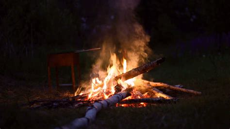 campfire burning at summer night forest traveling concept stock video footage 00 17 sbv