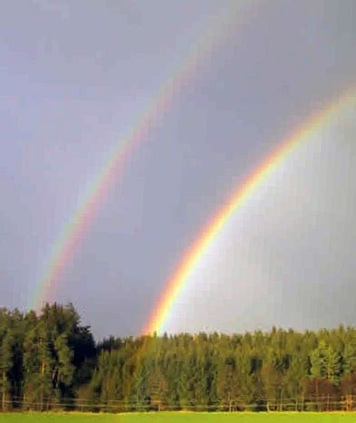 ✓ kommerzielle nutzung gratis ✓ erstklassige bilder. Regenbogen | LEIFIphysik