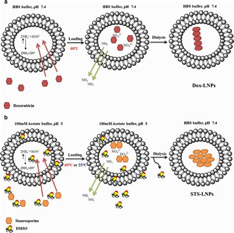 Publications Laboratory Of Targeted Drug Delivery And Nanomedicine