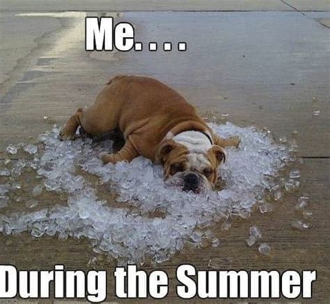 Summer Heat Memes That Will Make You Sweata Lot Summer In The City