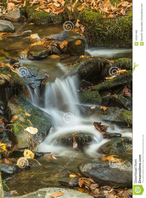 Waters Dance Of Life Stock Photo Image Of Display Earths 103331468