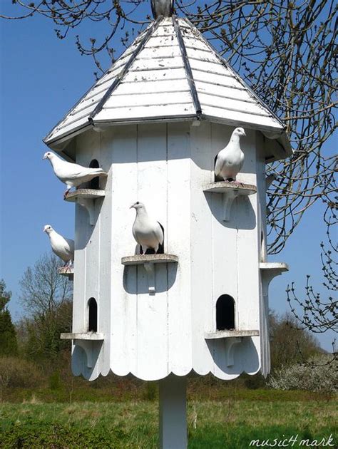 The Dovecote Bird Houses Diy Homemade Bird Houses Unique Bird Houses