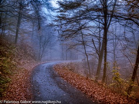 Foggy Road Landscape And Rural Photos Napikép