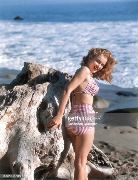 beach actress photos et images de collection getty images