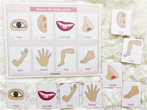 Body Parts Matching Activity Printable Toddler Busy Book Etsy Ireland